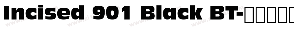 Incised 901 Black BT字体转换